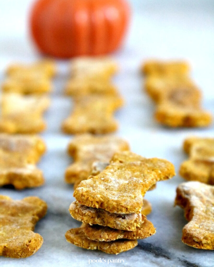 Stacked oatmeal pumpkin 3-ingredient dog treats bone shaped biscuits