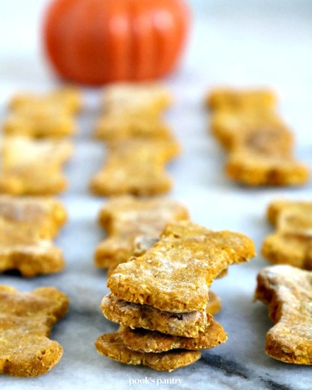 Stacked oatmeal pumpkin 3-ingredient dog treats bone shaped biscuits