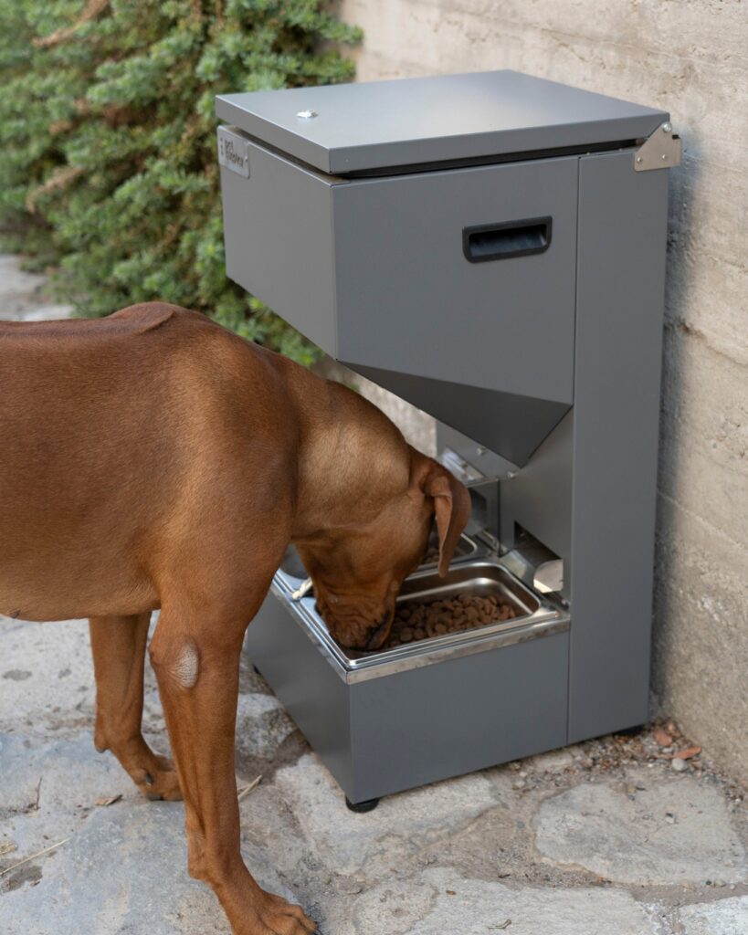 Outdoor wall mounted feeder idea for large dogs