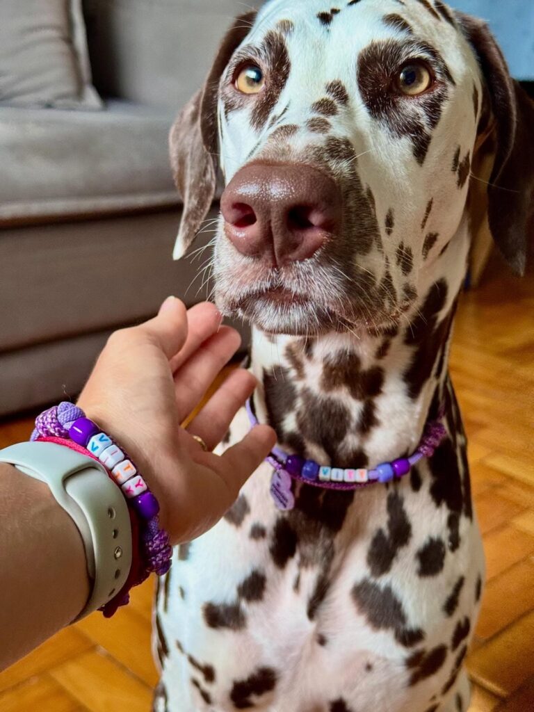 Beaded dog collar tutorials using paracord and name beads