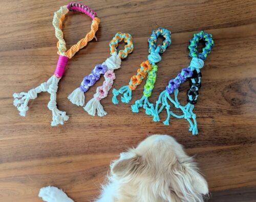 Paracord woven tug toy homemade dog toys ideas