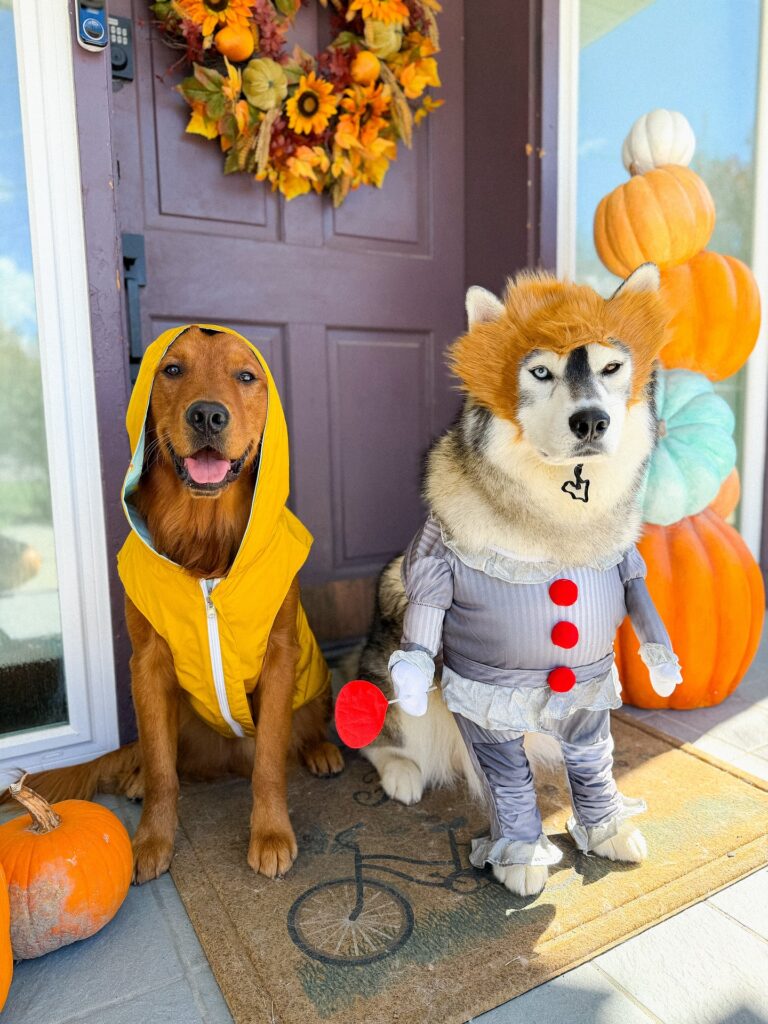 Husky dressed as Pennywise the clown beside golden retriever in yellow raincoat costume