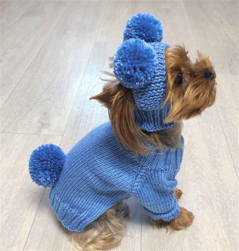 Pom-pom trim sweater and hat set for dogs