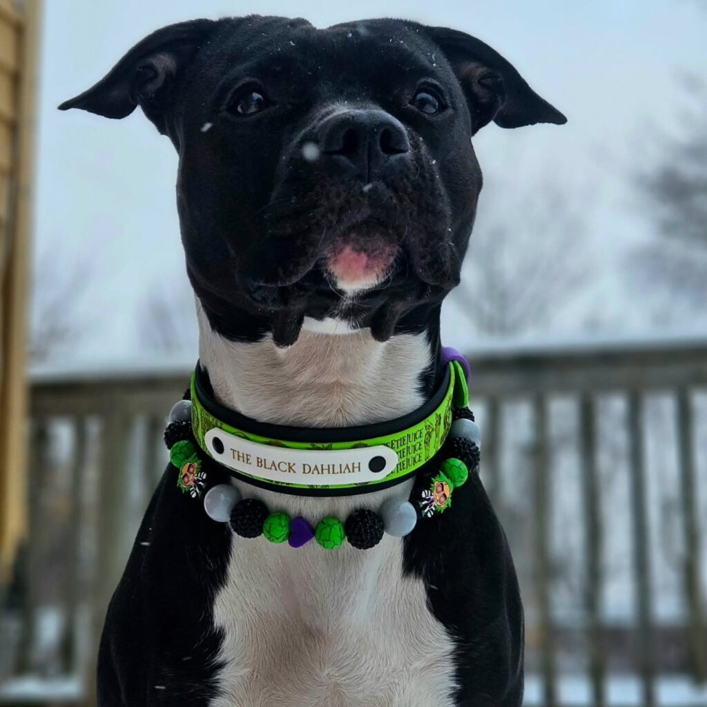 Beetlejuice themed bead collar with character charms