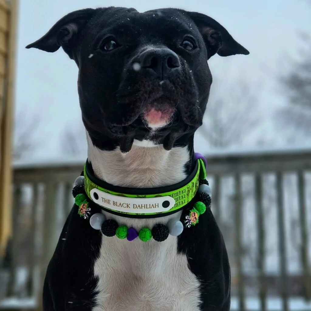 Beetlejuice themed bead collar with character charms