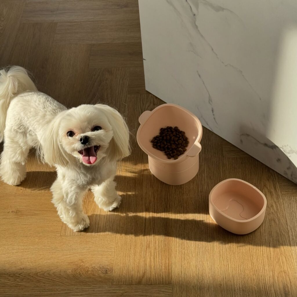 Portable stackable dog bowls for small breeds