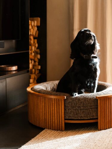 Round wood dog bed idea in walnut finish with cocker spaniel
