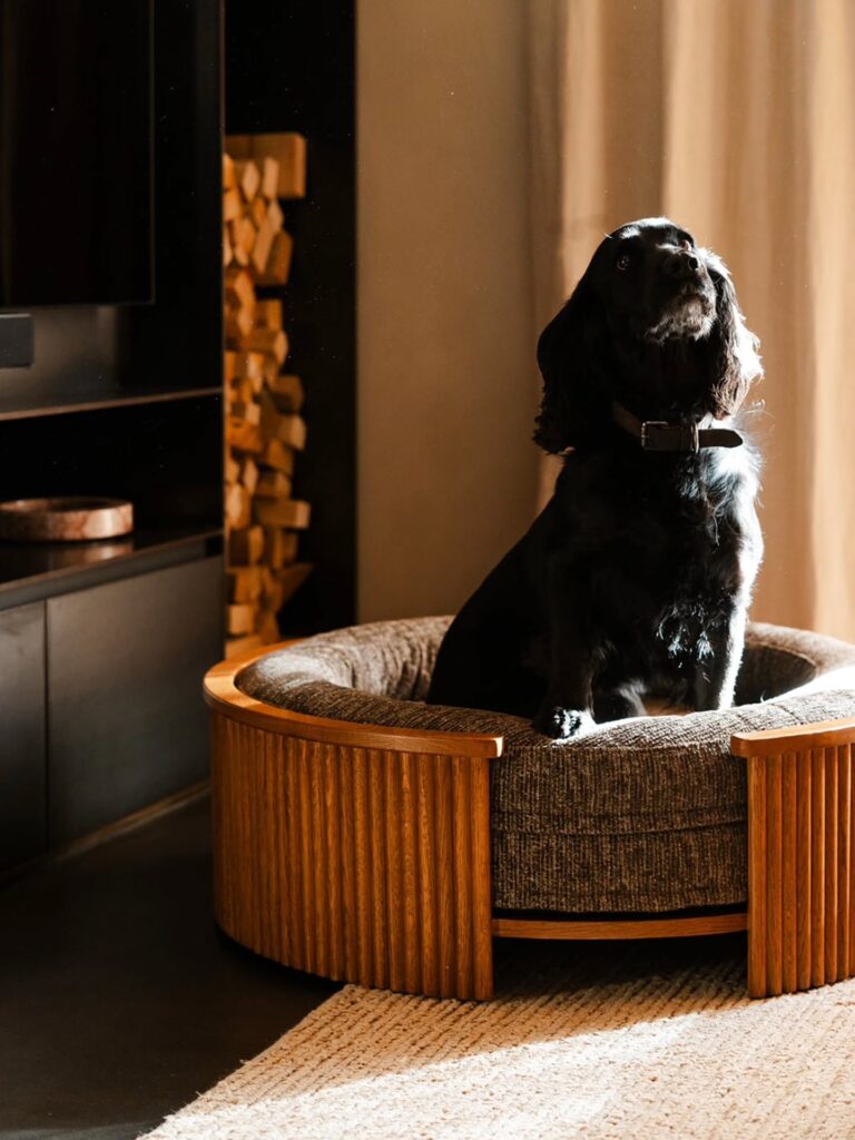 Round wood dog bed idea in walnut finish with cocker spaniel