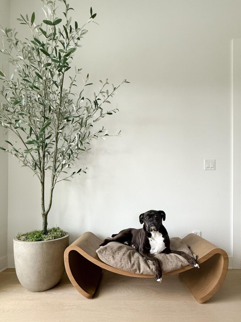 Scandinavian style curved wood dog bed with boxer dog