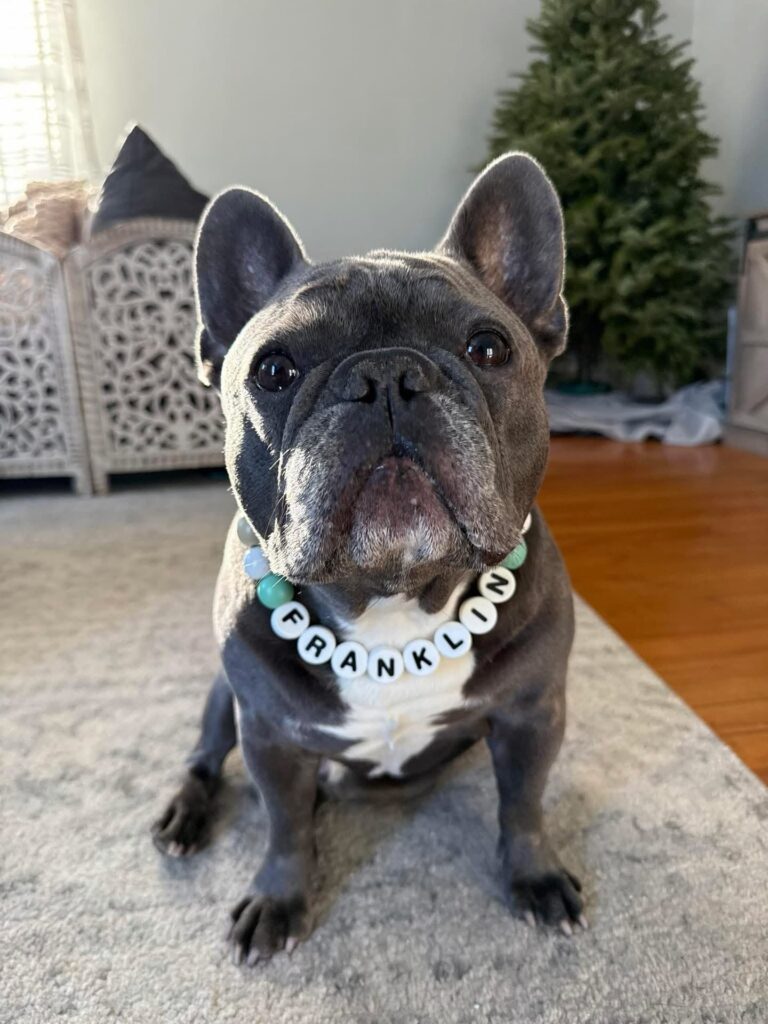 Beaded dog collar pattern in teal and grey with name beads