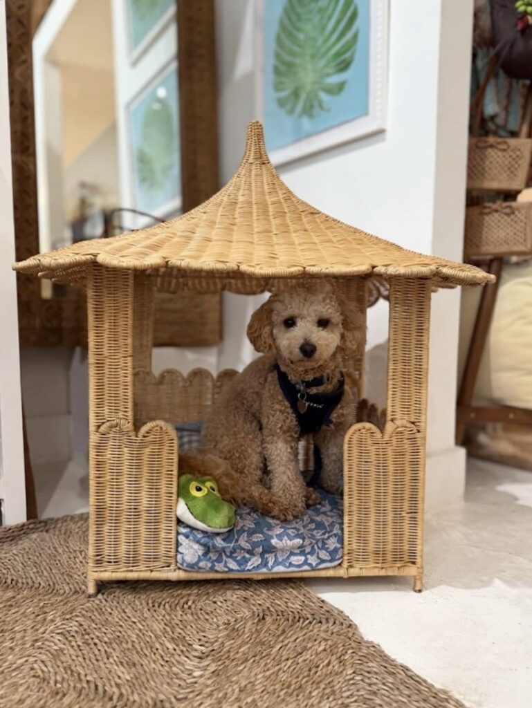 Wicker pagoda style dog bed for small dogs