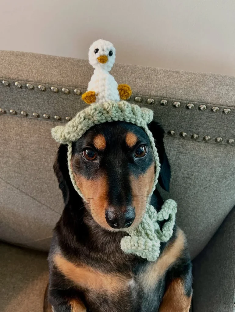 Crochet Dog Hat Tutorials 3D duckling topper bonnet