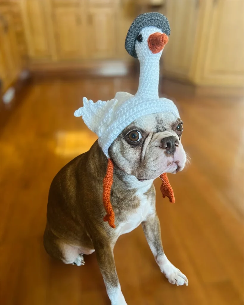 3D goose topper novelty crochet dog hat