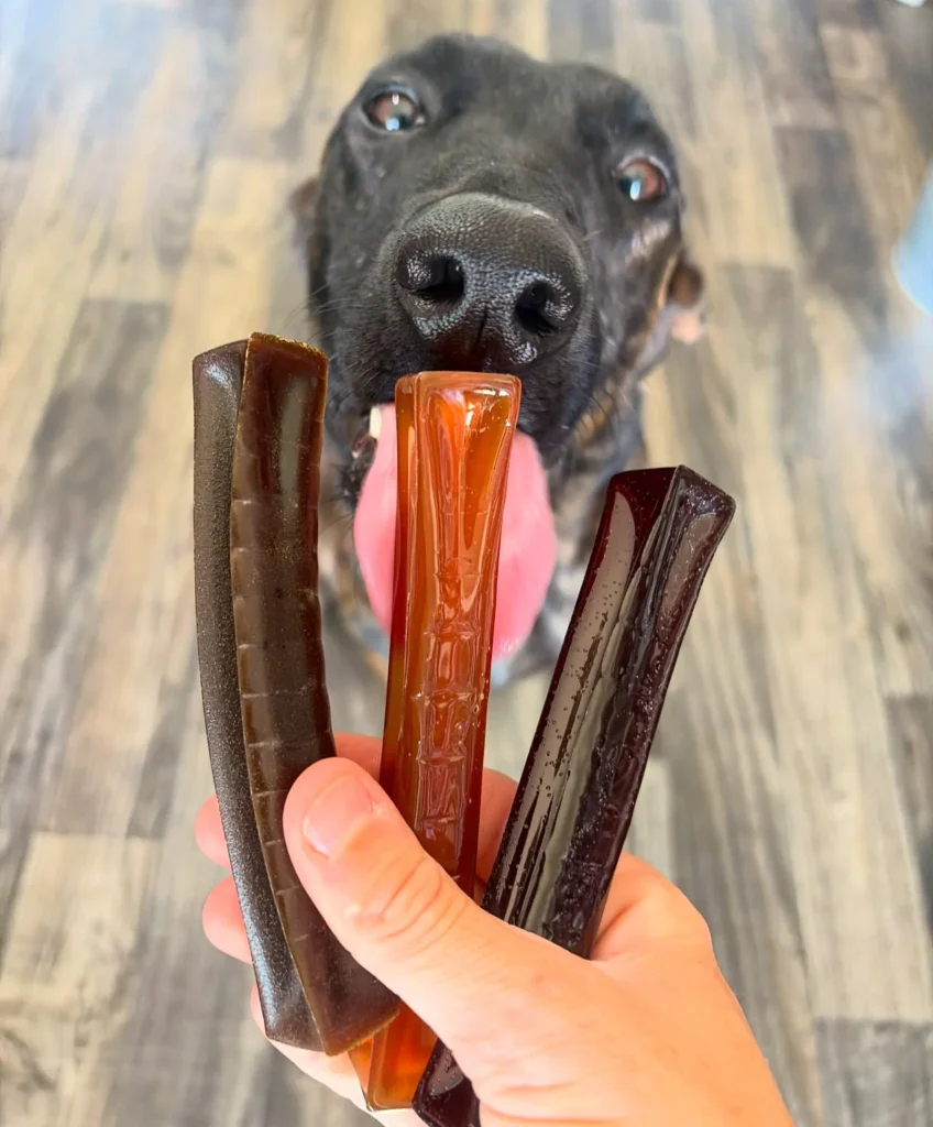 Dog dental chews homemade bone broth stick glossy chew