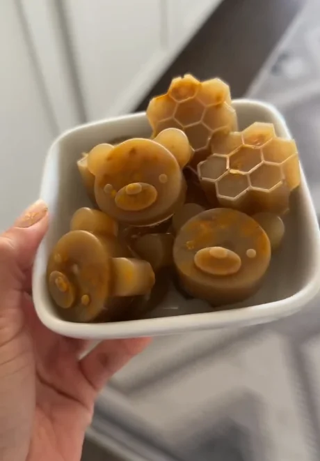 Chicken broth gummy bites topped with bee pollen for dogs