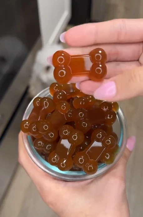 Chicken broth gummy dog treats made for coat and joint support