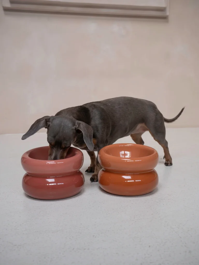 Chunky bubble-shaped ceramic dog water bowls in terracotta tones
