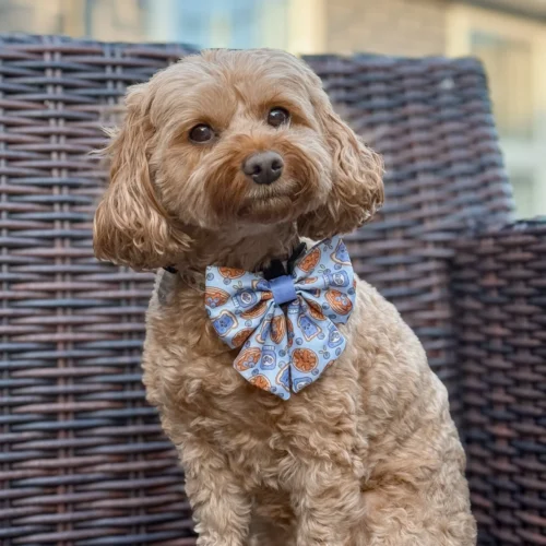 Dog Bow Tie Sewing Pattern