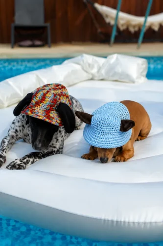Dog Bucket Hat Free Crochet Pattern