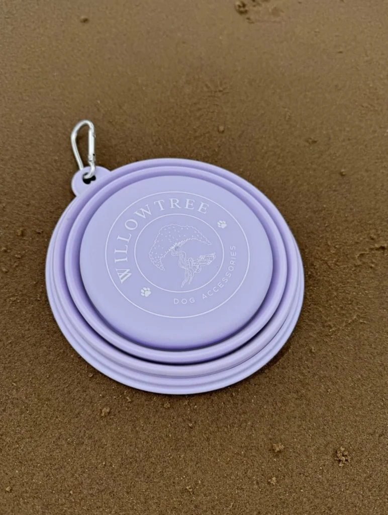 Folded lilac collapsible dog travel bowl with carabiner clip