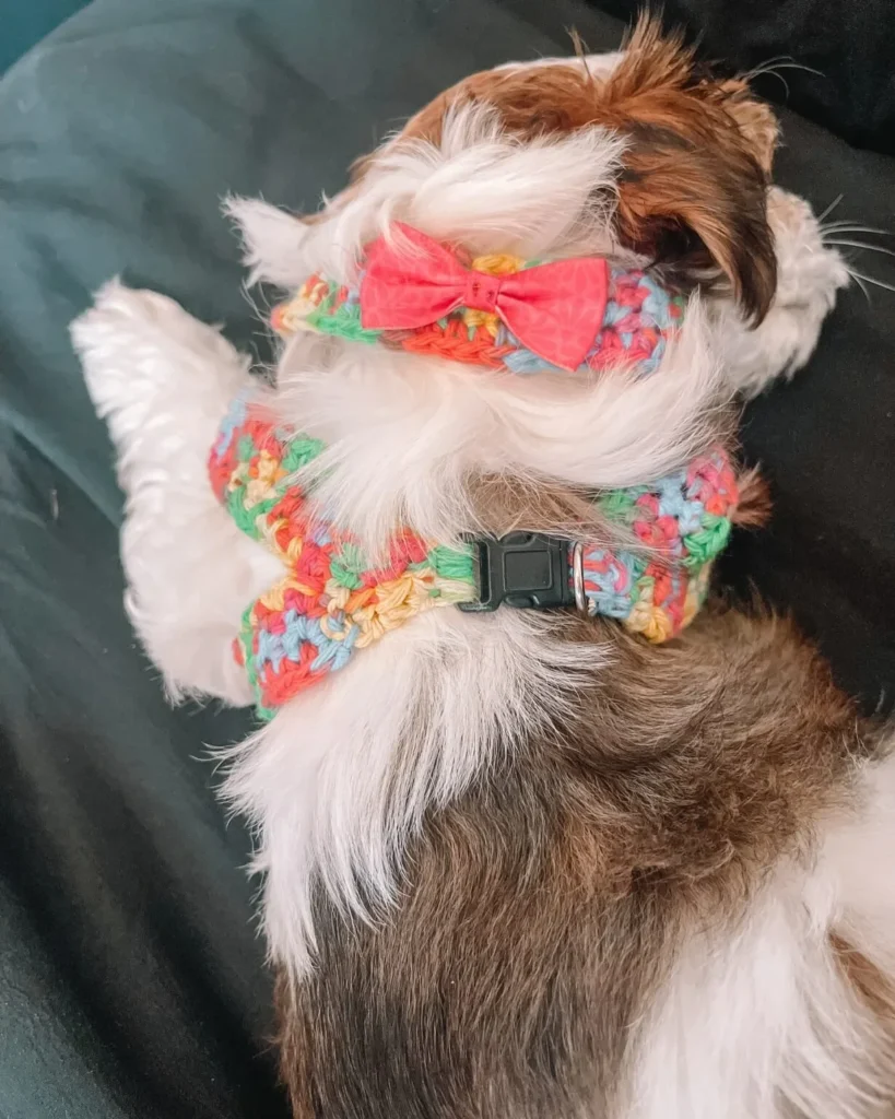 Rainbow variegated crochet dog harness with fabric bow tie accessory