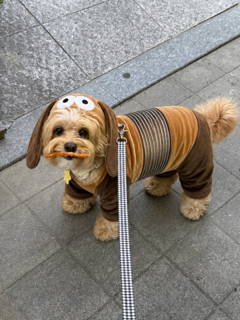 Realistic Slinky dog face hood costume for small dog