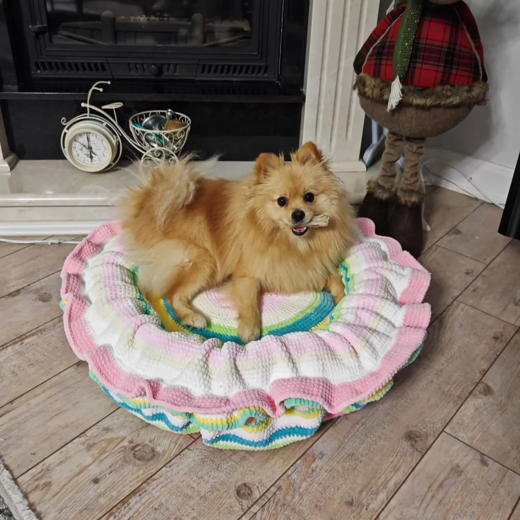 Easy crochet dog bed patterns with colorful ruffled edges
