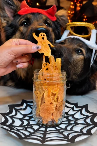 Homemade Halloween dog treats recipes sweet potato boo chips