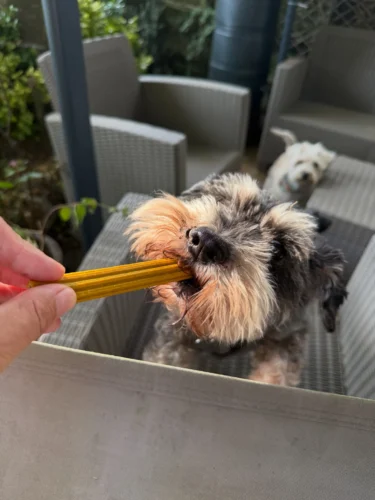 Turmeric sweet potato dog dental chews homemade ridge treat