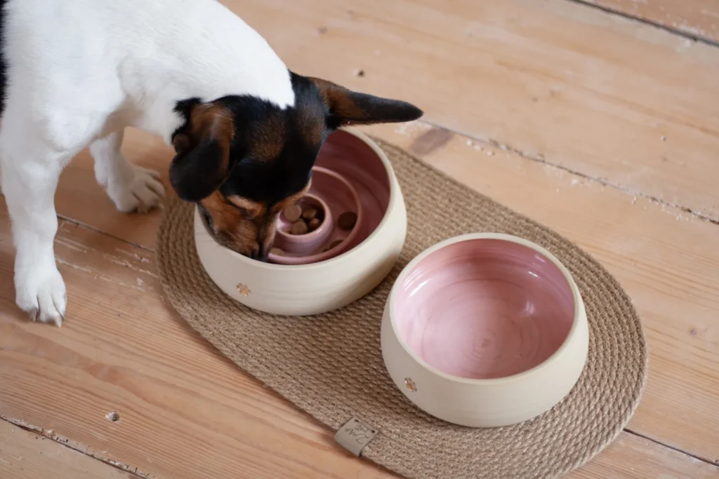 Two-tone ceramic dog bowl set with a built-in slow feeder