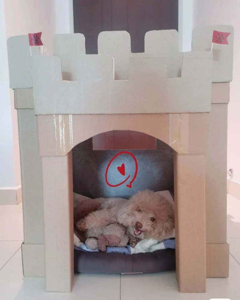 Cardboard castle paper dog house idea with turrets and flags