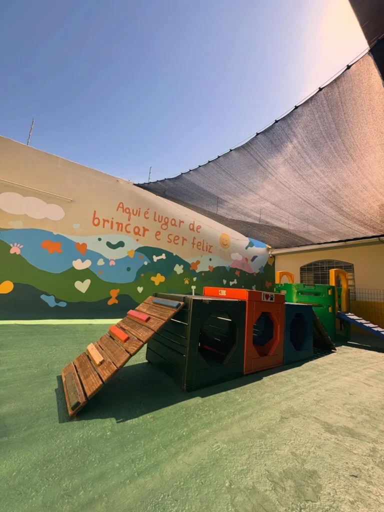 Colorful outdoor dog obstacle yard with wooden ramp and mural wall