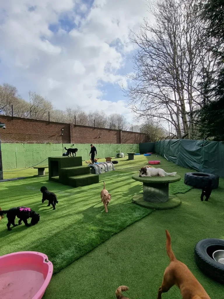 Dog Park ideas with a combined turf and tire obstacle circuit