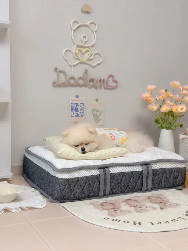 Rope art name banner wall above a cozy Dog Room Decor Ideas bed