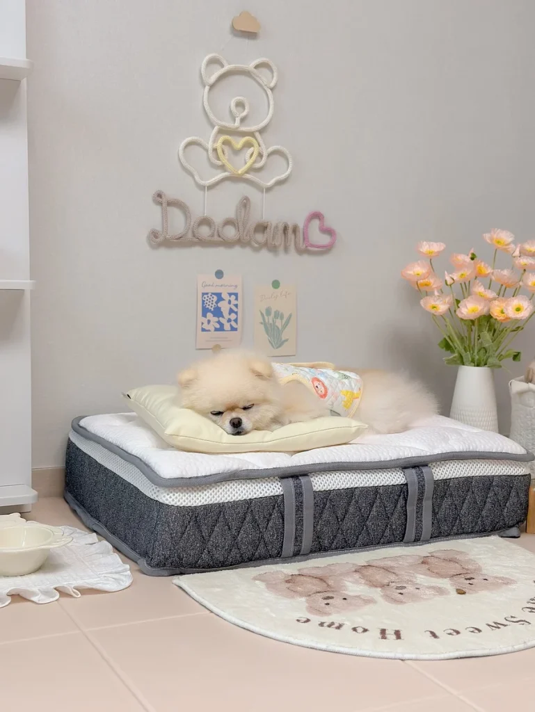 Rope art name banner wall above a cozy Dog Room Decor Ideas bed