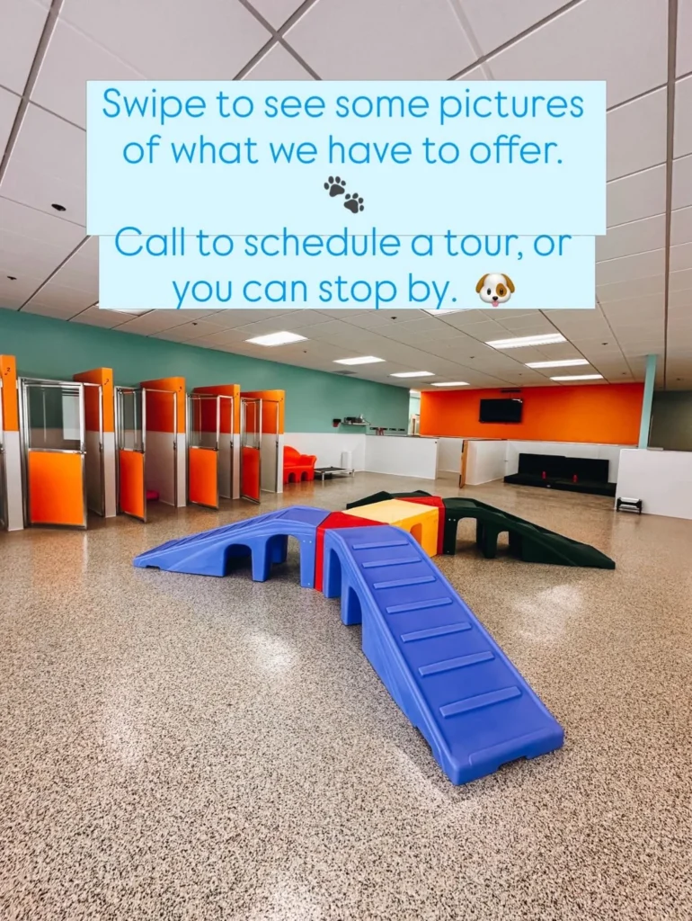 Dog daycare ideas boarding kennels combined with play area