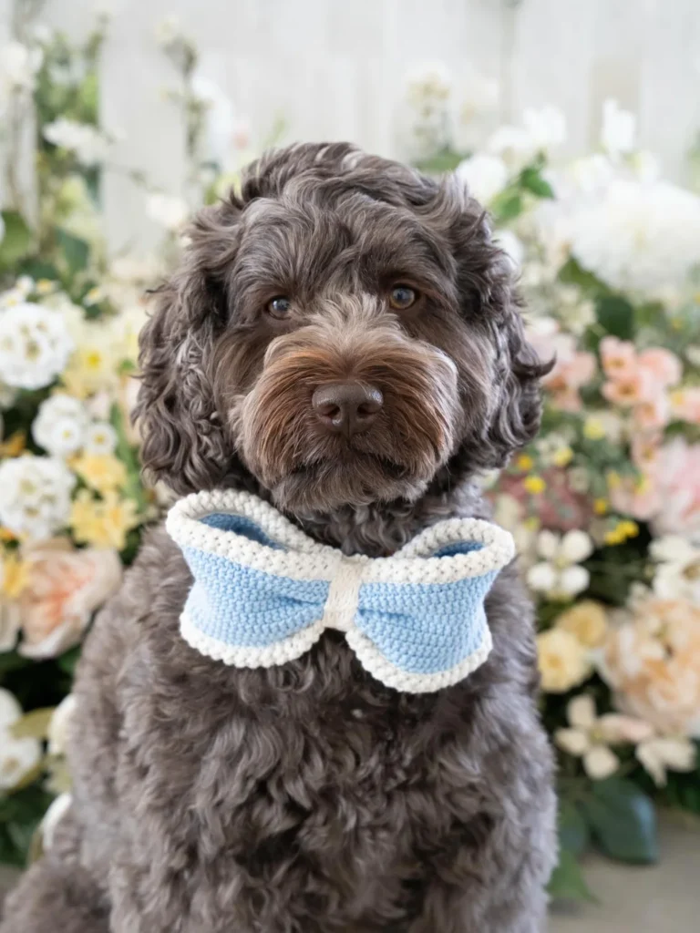Crochet knit dog bow tie no sew handmade idea