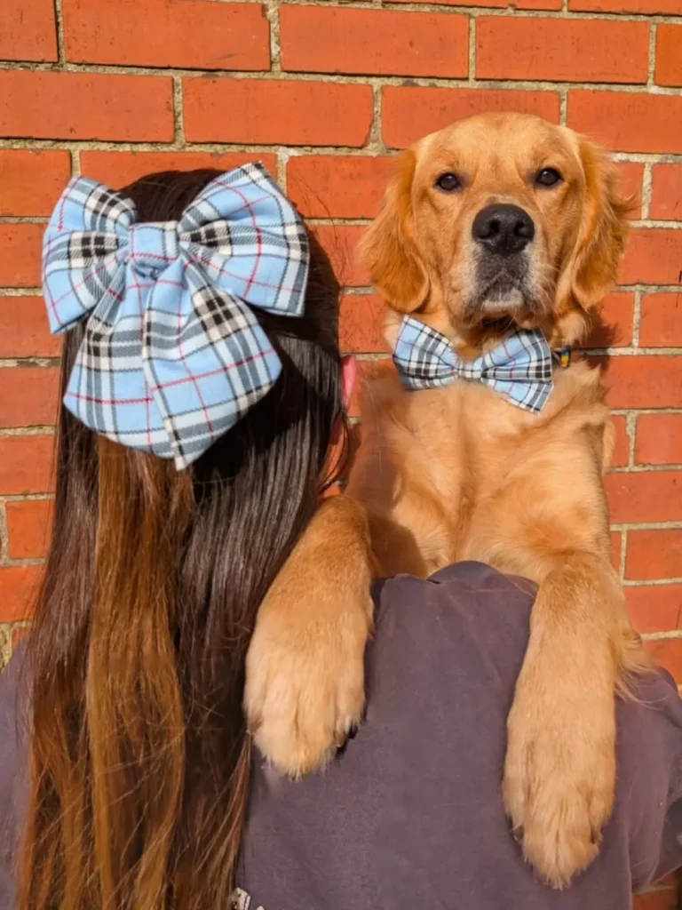 Matching plaid bow tie set for dog and owner how to sew dog bow tie with elastic