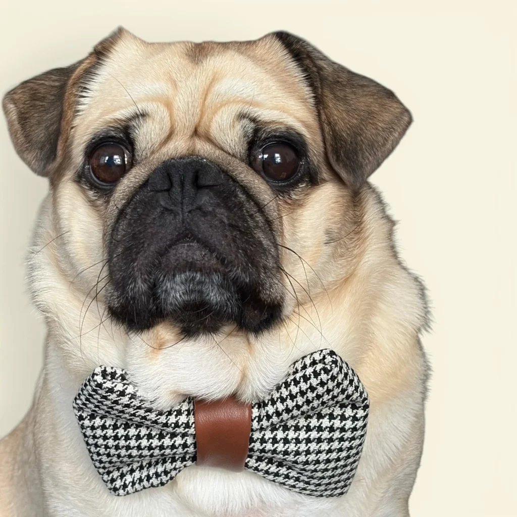 Houndstooth menswear style dog bow tie with leather strap