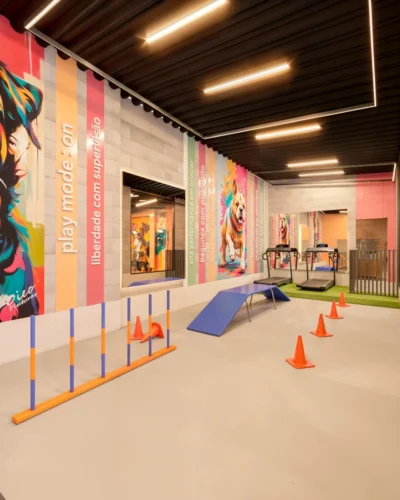 Dog daycare layout ideas fitness room with treadmills and agility poles