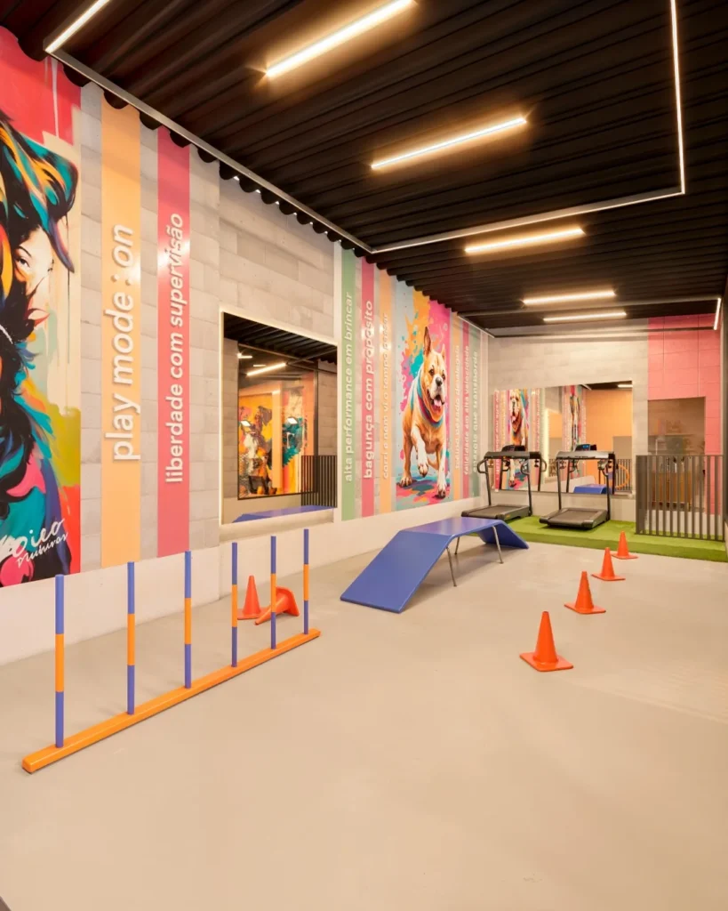 Dog daycare layout ideas fitness room with treadmills and agility poles