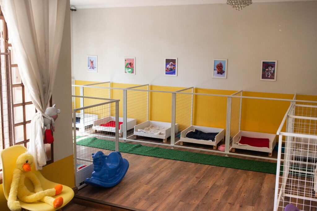 Individual dog boarding suites with photo gallery wall