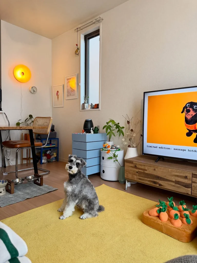 Colorful apartment corner with dog bed and rug, a Dog Room Decoration Ideas example