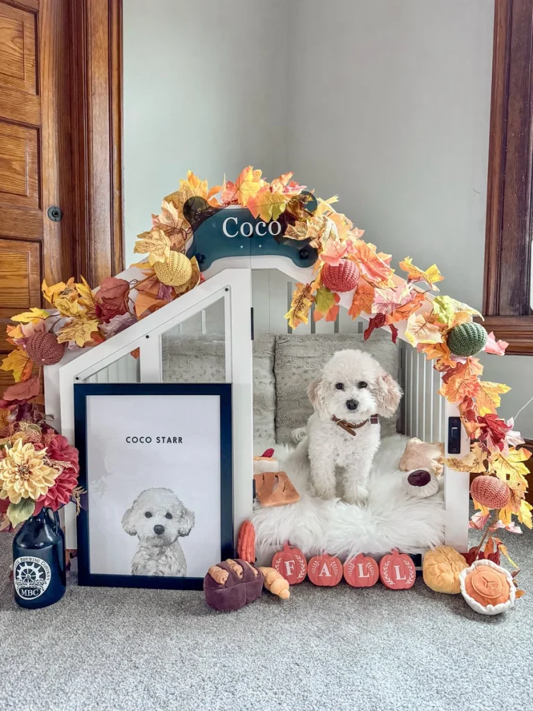 White house shaped dog crate decorated with fall leaves and pumpkins