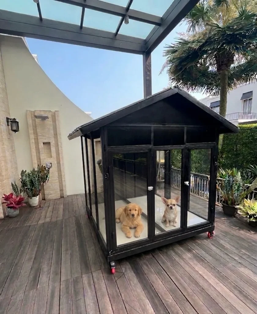 Glass panel dog house on wheels, a unique double dog house outdoor idea