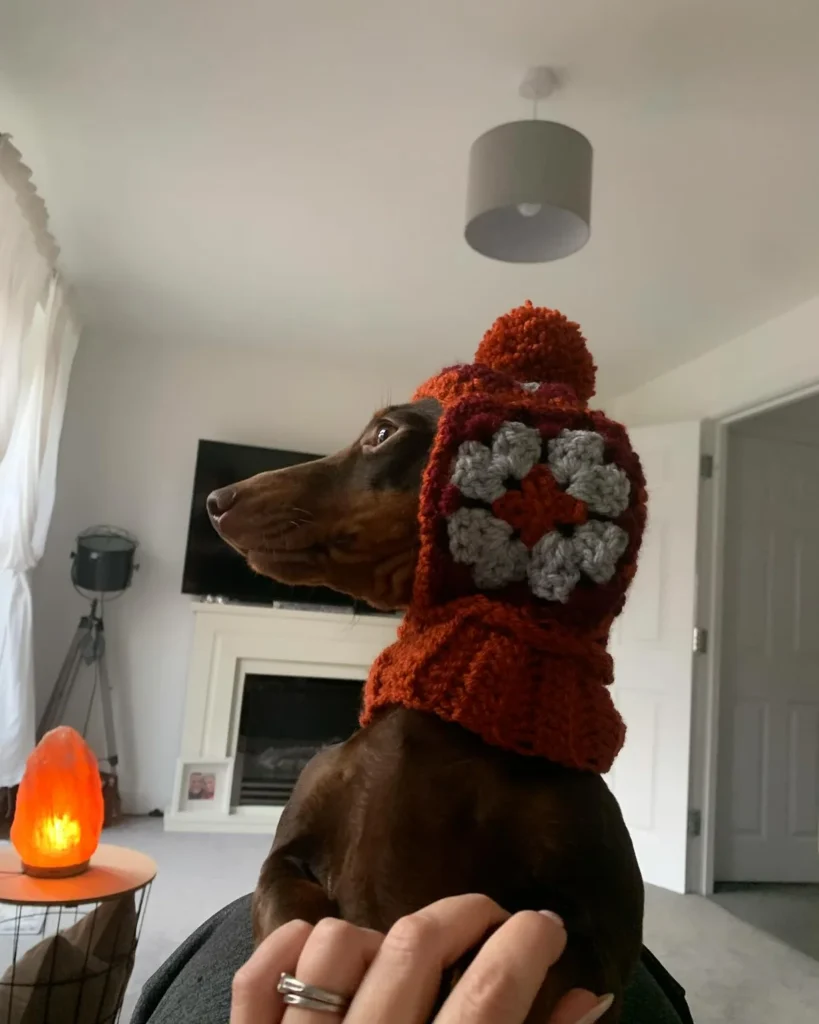 Crochet Dog Hat ideas granny square earflap hat