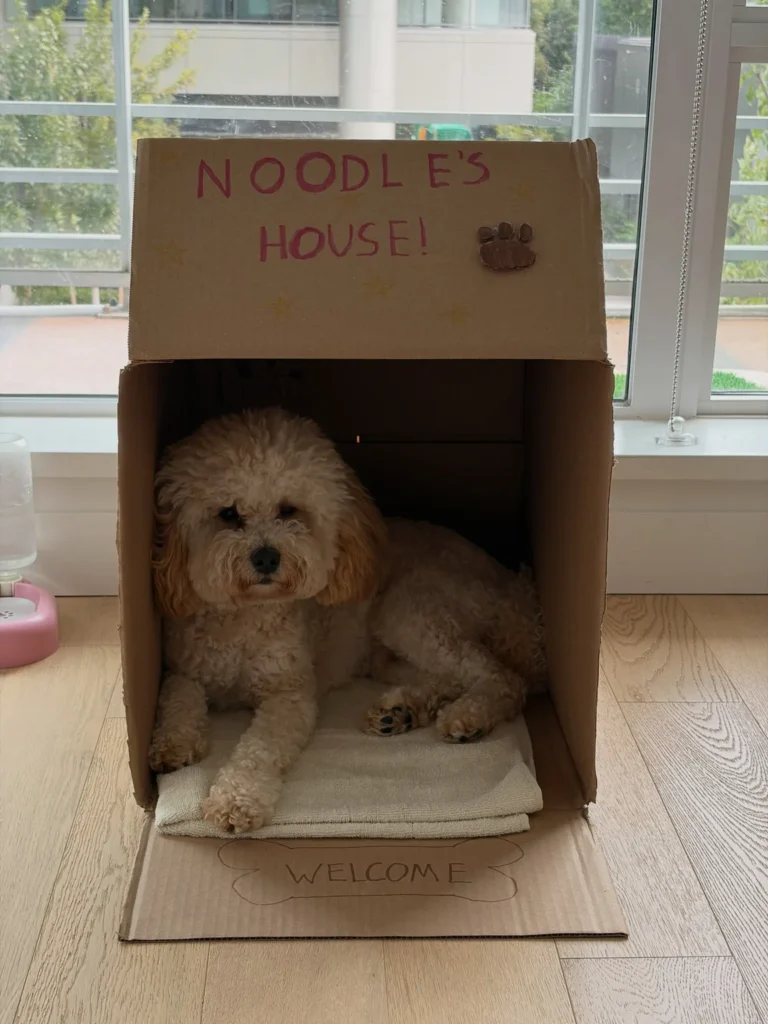 Hand lettered welcome sign paper dog house idea with soft towel bed