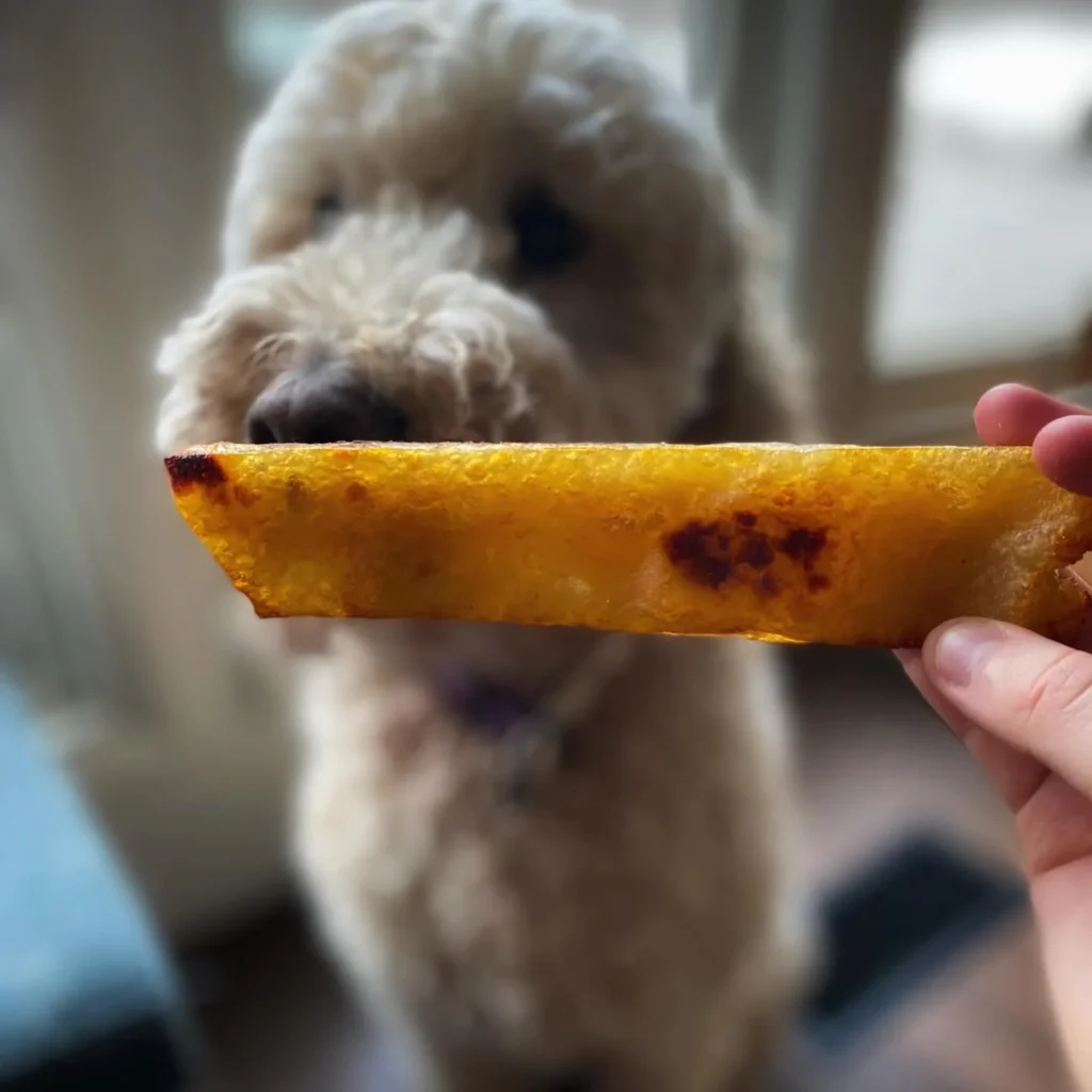 Close up of a homemade yak milk dog chew stick