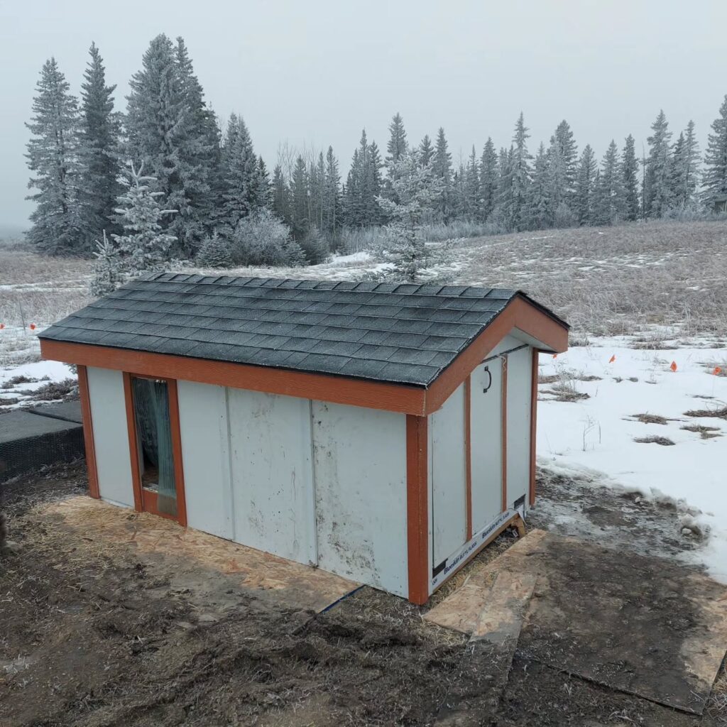 Finished wood dog house with insulated wall panels and shingled roof