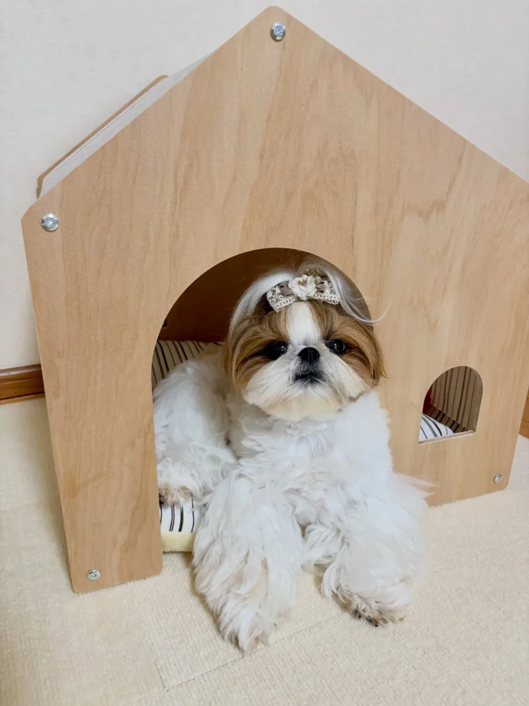 Light wood dog house with arched door and striped bedding